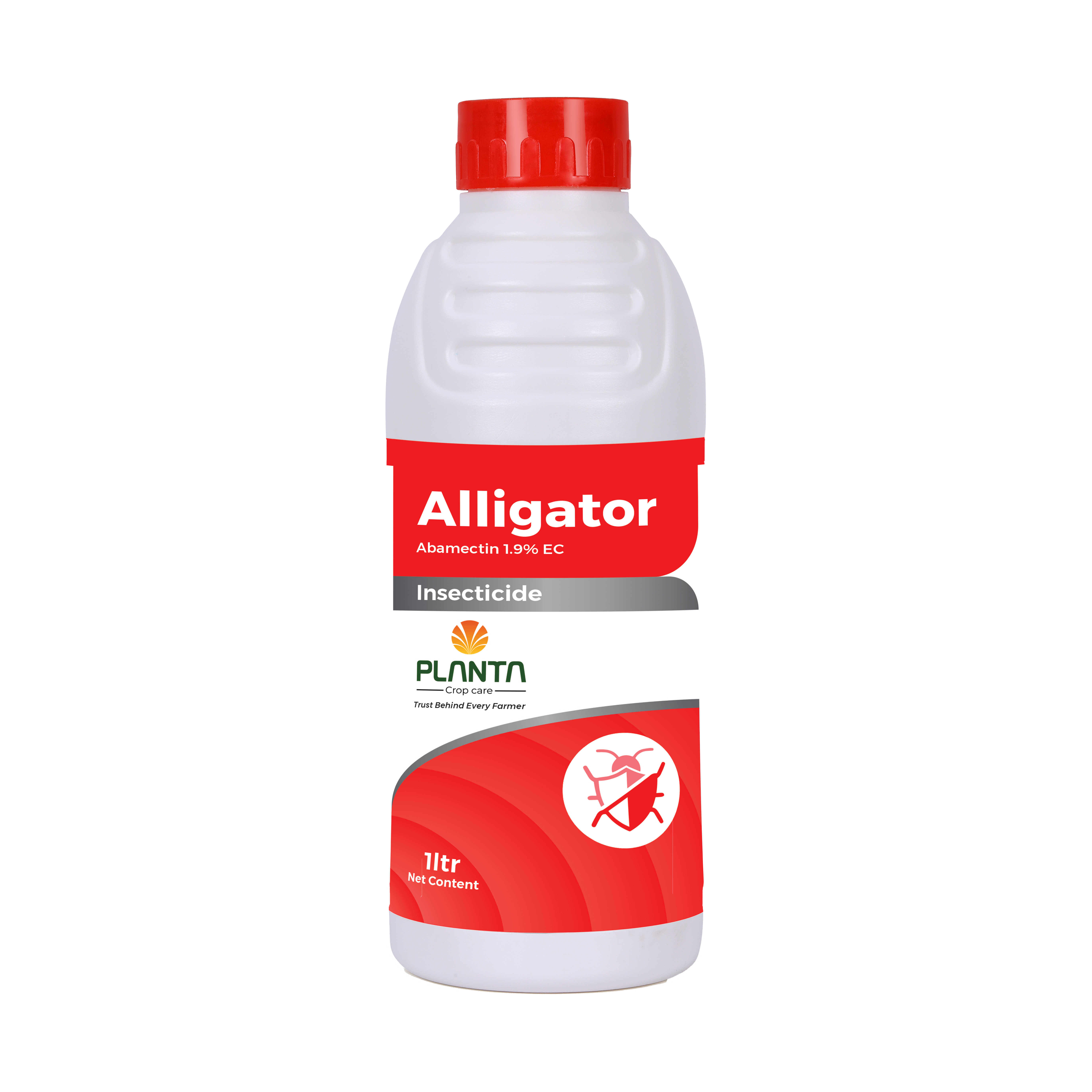 Alligator