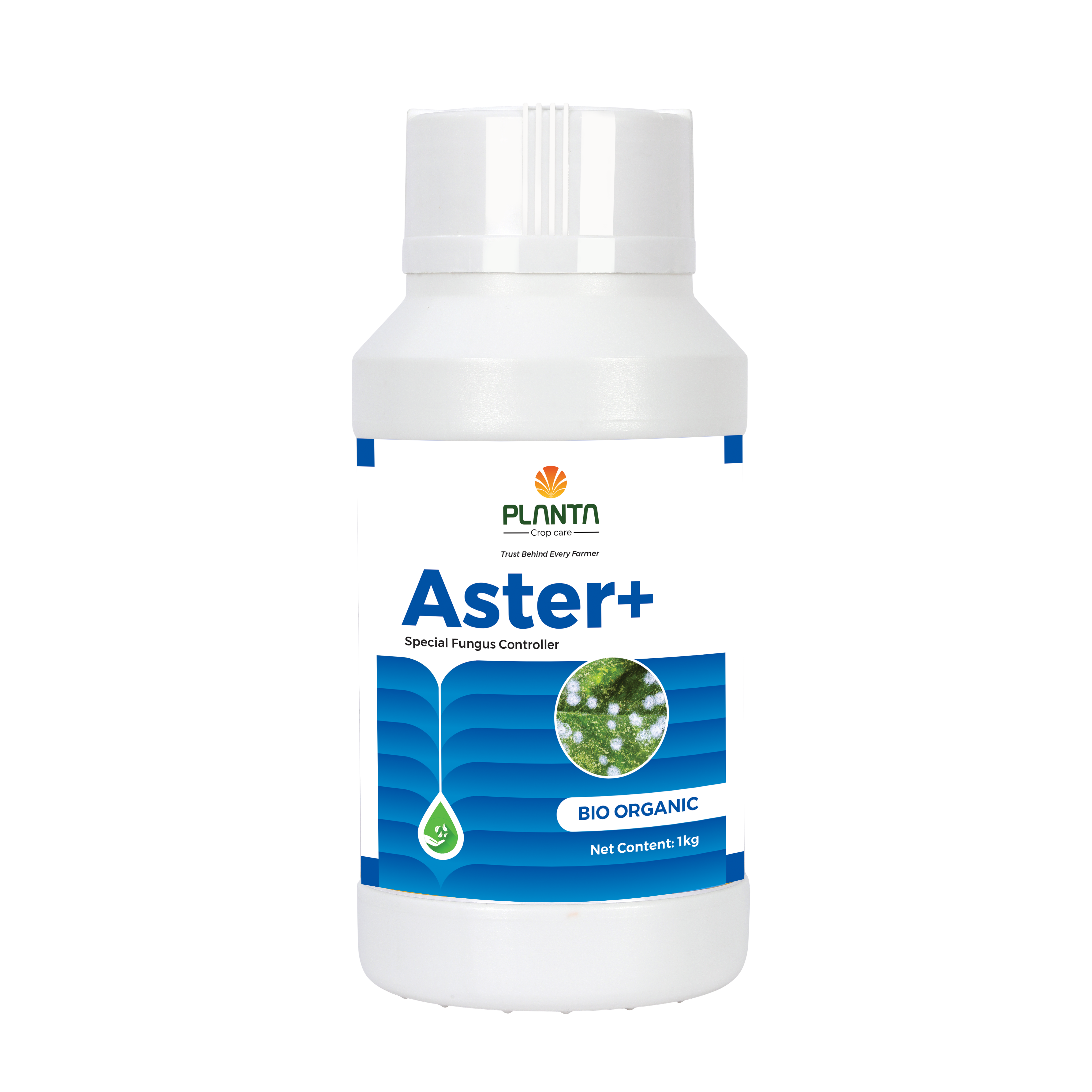 Aster+