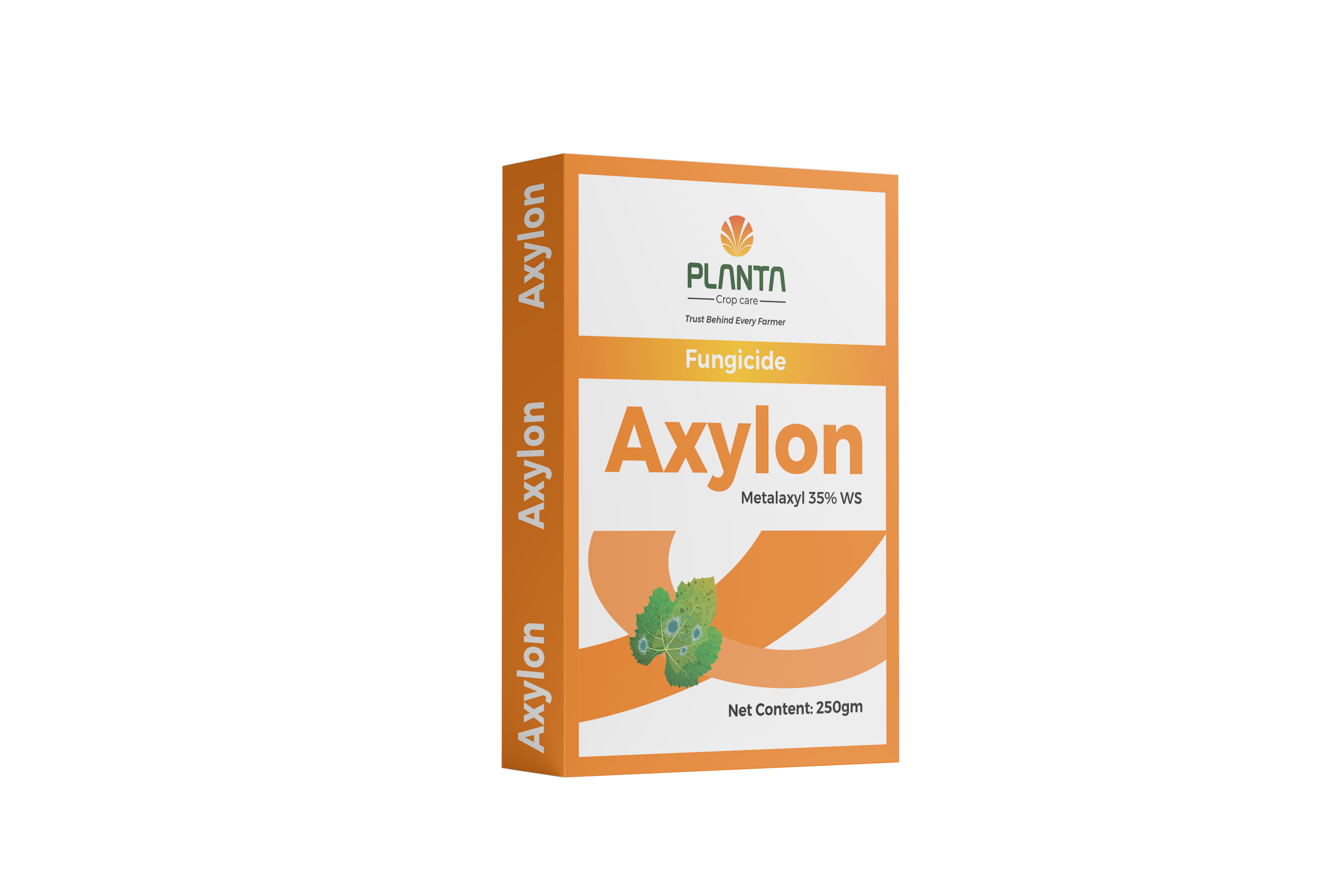 Axylon
