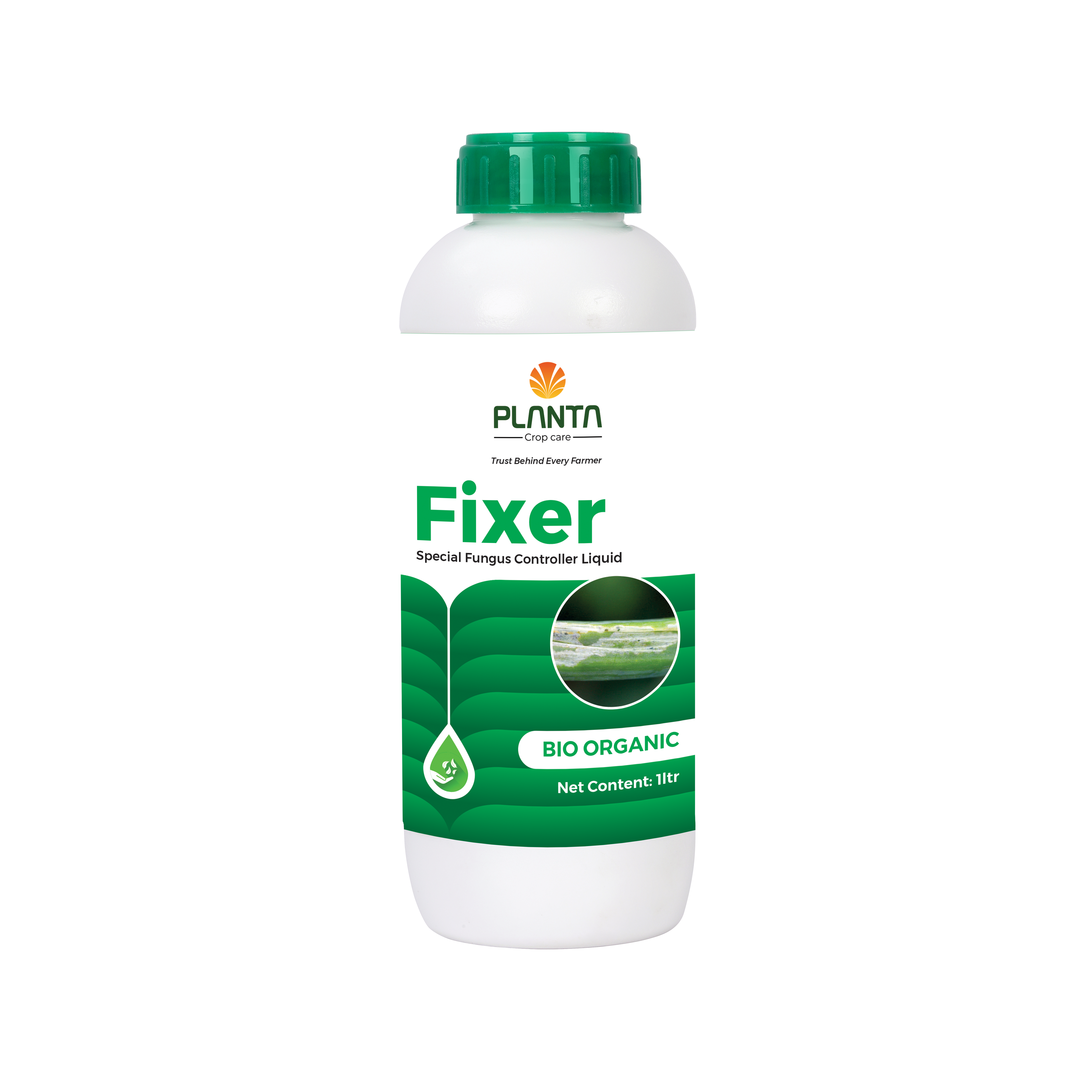 Fixer
