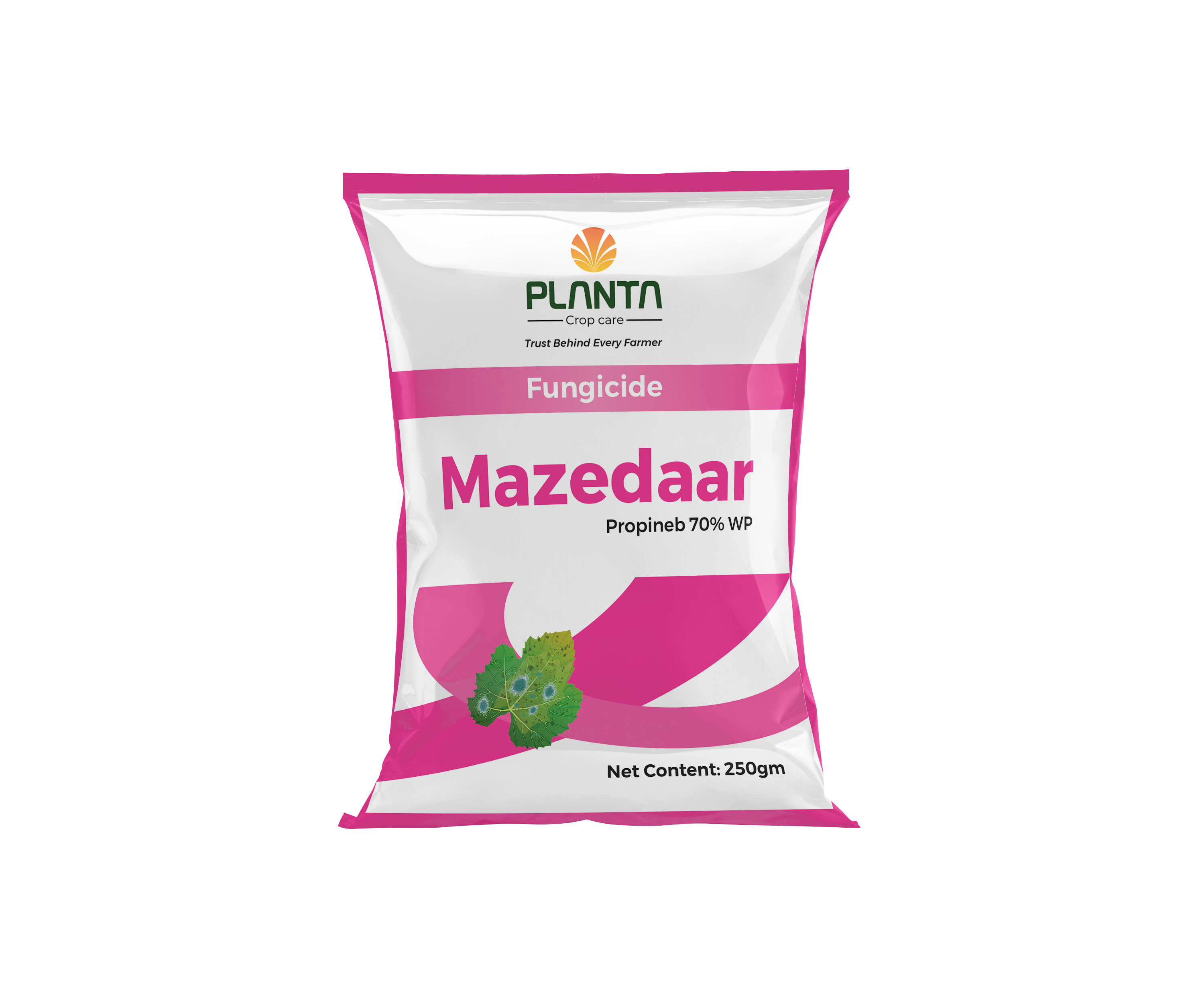 MAZEDAAR