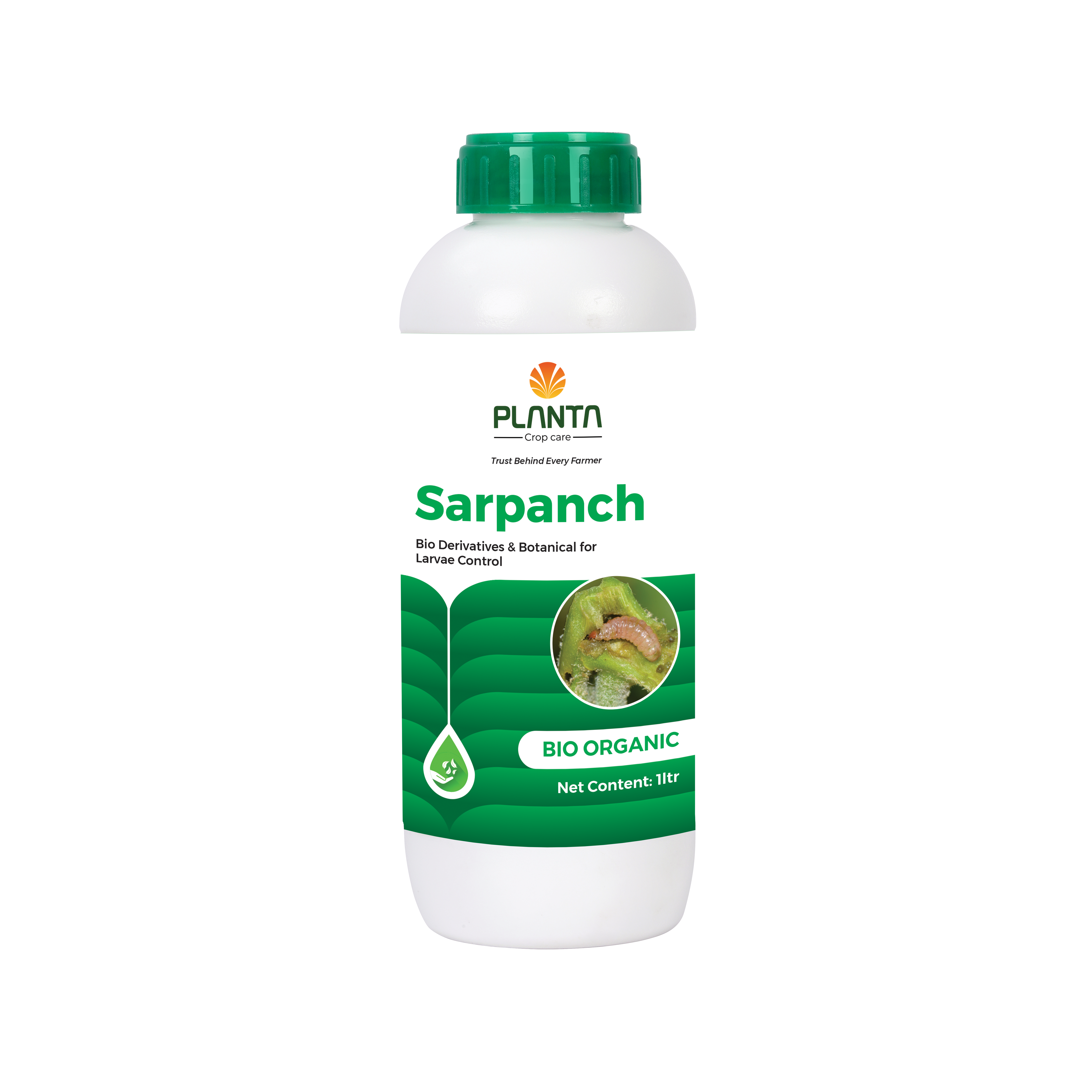 SARPANCH