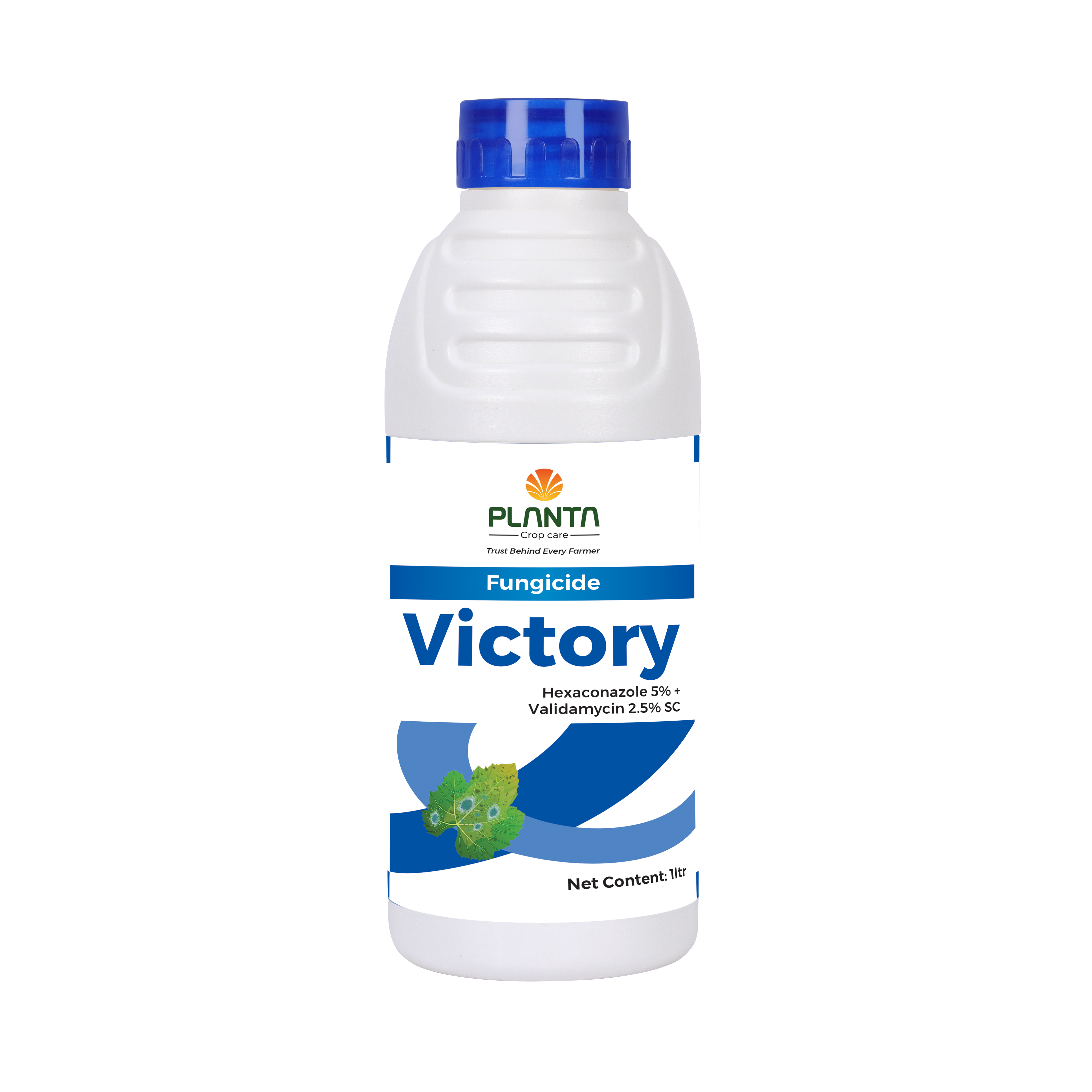 Victory