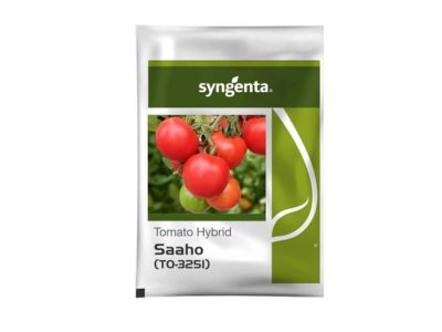 Hybrid Tomato Seeds
